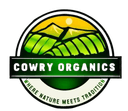 image_logo
